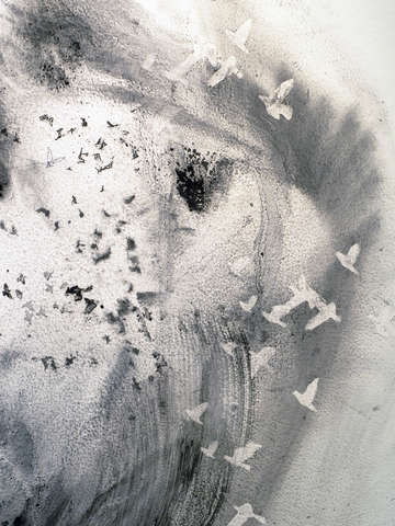 Wall drawing detail 2