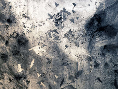 Wall drawing detail 3