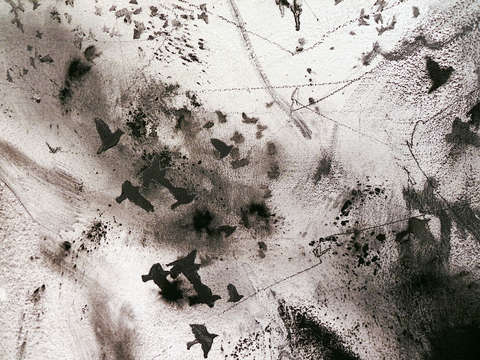 Wall drawing detail 4
