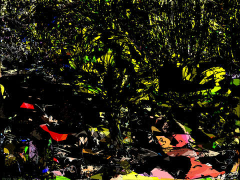 Undergrowth 4