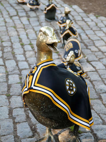 Duckling fans