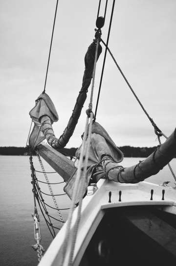 The headsails