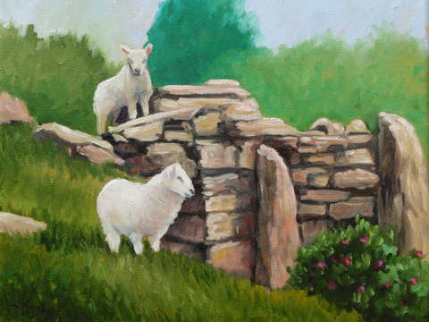 Sheep on a rock wall