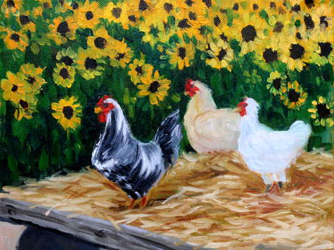 Chickens on the sunflower farm