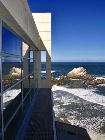 The View
