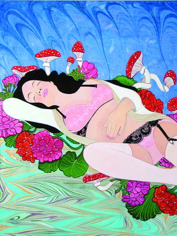 Geranium dream