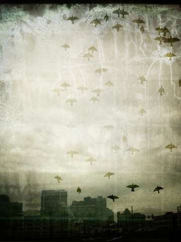 Some morning i will remember you