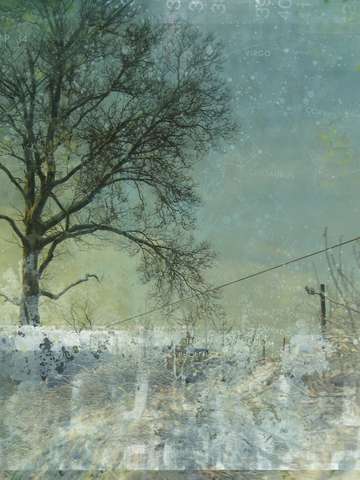Winters tale