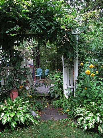 Portrait, Laura's Garden