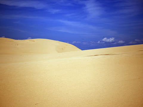 Bold dunes
