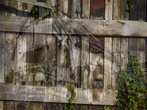 Barn 2