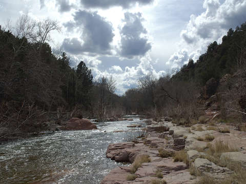 Oak creek