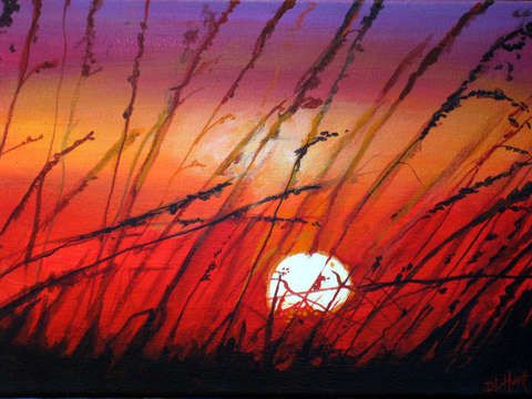 Sea Oats Sunrise