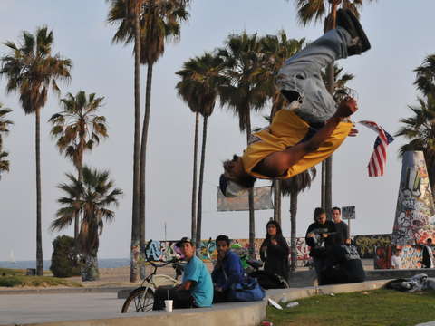 Flipper