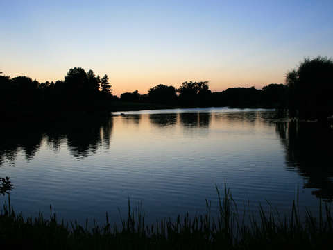 Japanese gardens sunset
