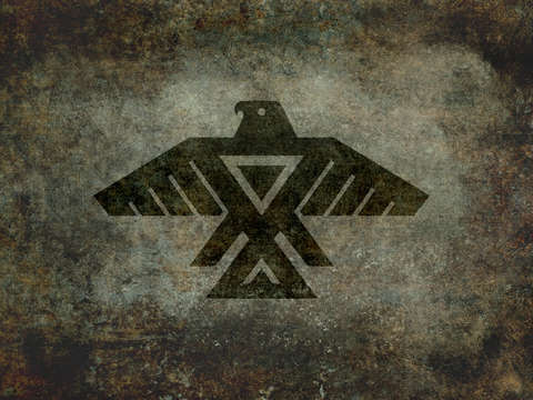The national flag of pakistan vintage version