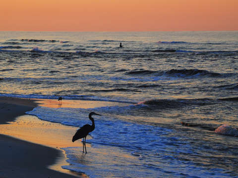 Sunrise fisherman