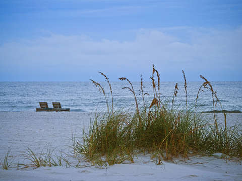Sea grass and 2 chairs on the beach