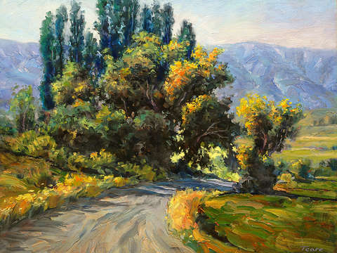 Summer trees