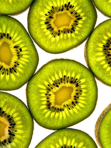 Kiwi fruit slise of life