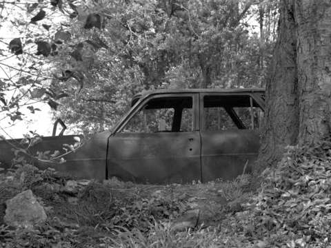 Camo car rip