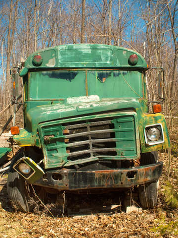 The green bus