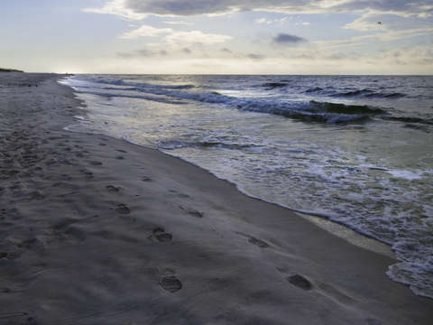 Morning on the beach