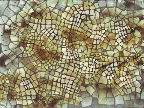 Turtle layers cityspace 209