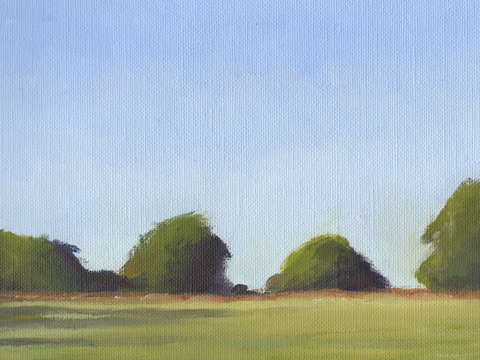 Early morning light study