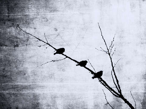 Tripartite