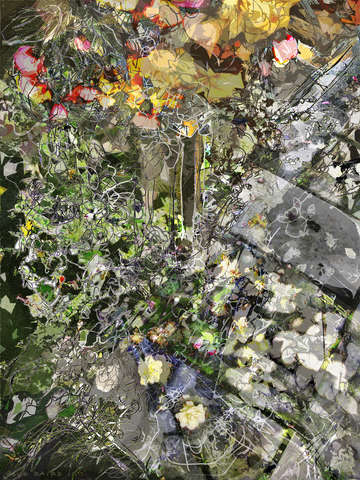 Hanging basket nil falling flowers 2