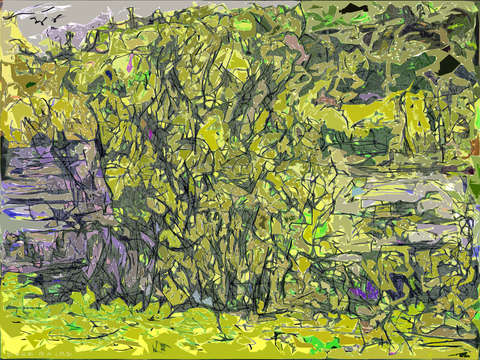 Tree by the pond 2