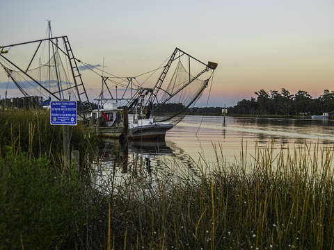 Saltwater fishing license