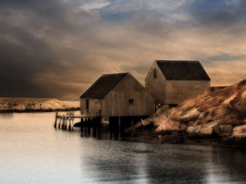 The-cove