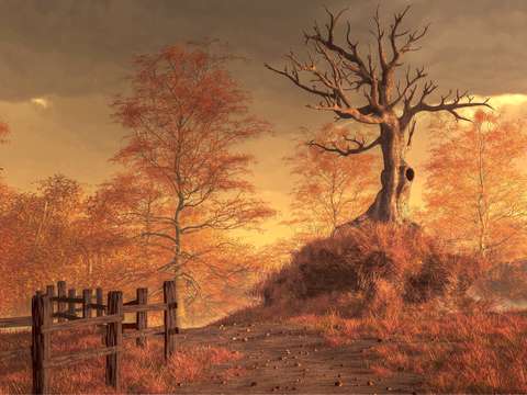 The dead tree
