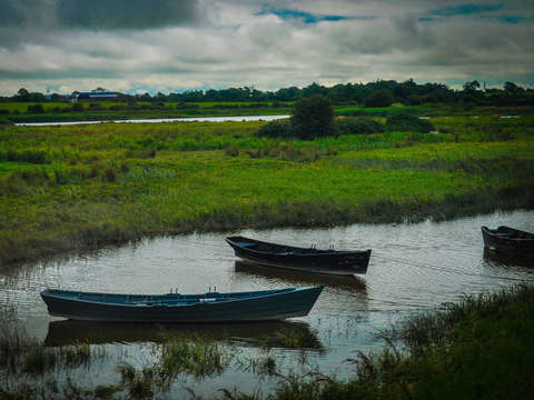 Canoes 2