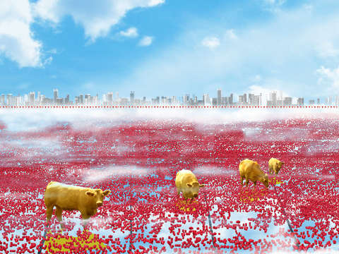 Vacas