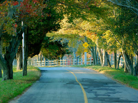 Back road