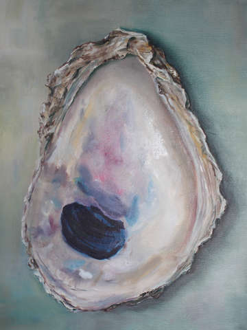 Oyster Shell