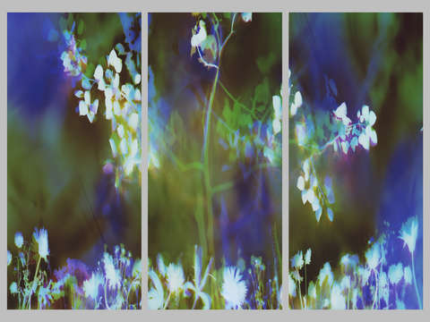 Night garden 2