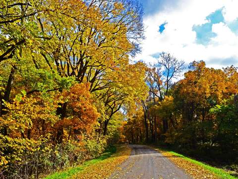 Fall road trip