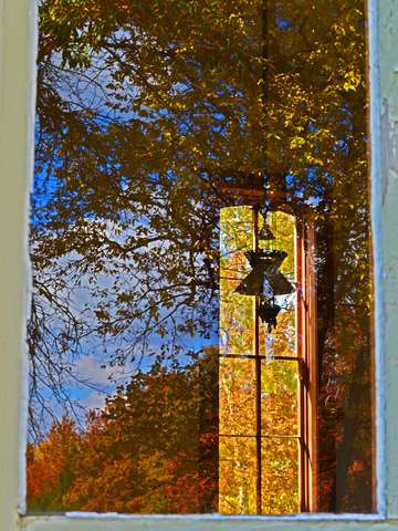 Relections