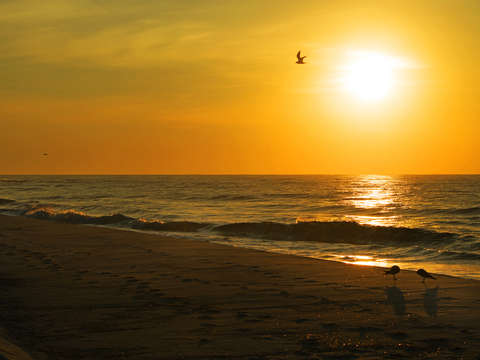 Golden morning