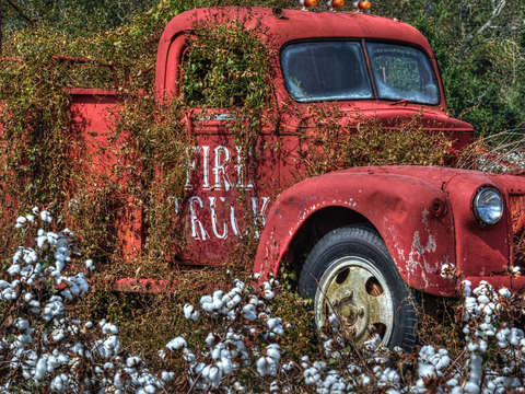 Cotton truck