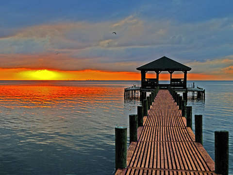 Down the long dock