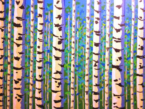 Birch trees series ii