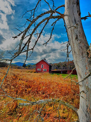 Red adirondack
