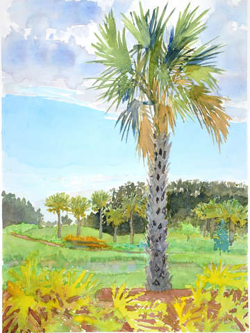 Paradise 3