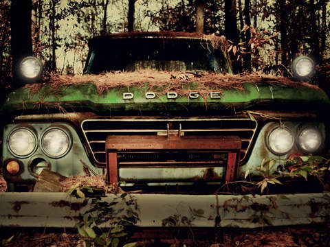 Dreaming in dodge