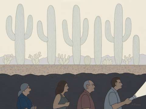 Cactus root tour
